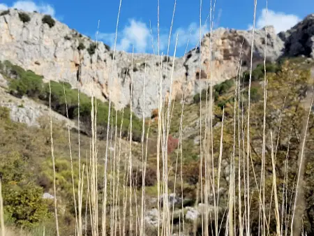 Maison spacieuse à Frascineto avec vue montagne 130 m² - Photo 25