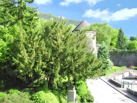 Appartement cosy Salins-les-Bains 18 m² Parking - Photo 5