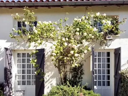 Villa charmante à Arsac avec piscine privée et jardin - Photo 9