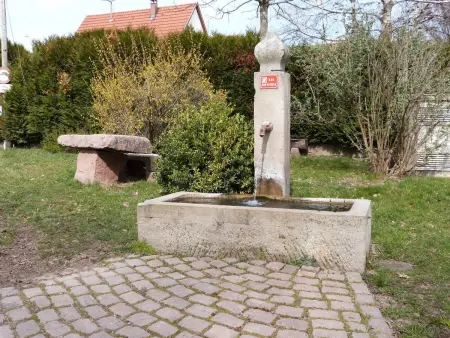Maison de charme à Wuenheim avec jardin et terrasse - Photo 7