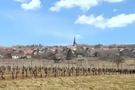 Maison de charme à Wuenheim avec jardin et terrasse - Photo 9