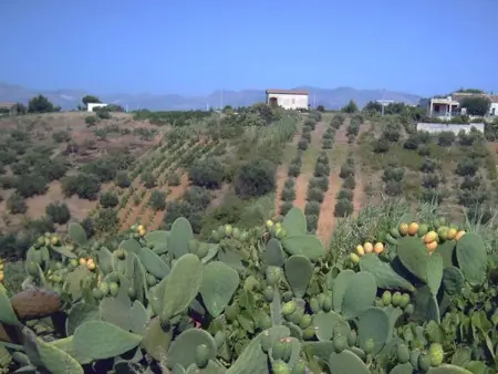 Appartement à Castellammare del Golfo - Vue sur mer - 70 m² - Photo 34