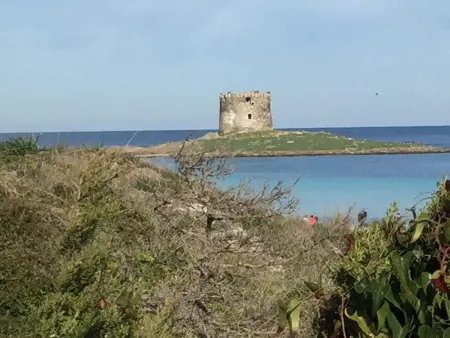 Maison charmante à Stintino, près de la plage de La Pelosa - Photo 33