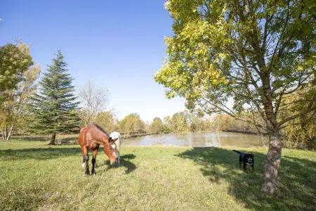 Villa spacieuse à Sigoulès avec piscine privée - Photo 16