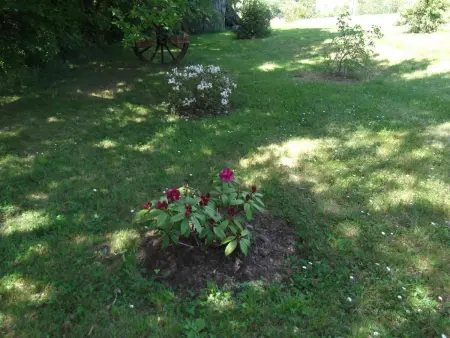 Appartement avec piscine à Montpezat-de-Quercy 40 m² - Photo 16