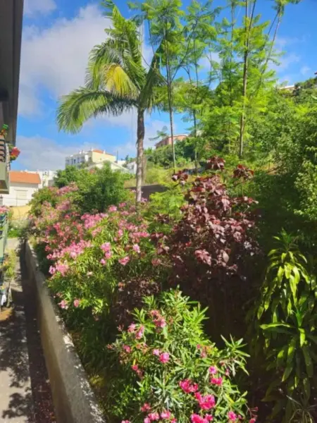Appartement charmant dans Funchal avec balcon et vue - Photo 27