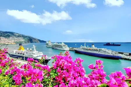 Appartement charmant dans Funchal avec balcon et vue - Photo 43