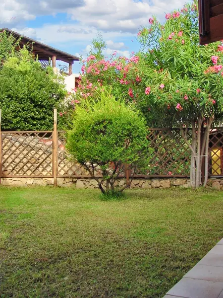 Maison charmante avec terrasse & jardin - Loiri Porto San Paolo - Photo 10