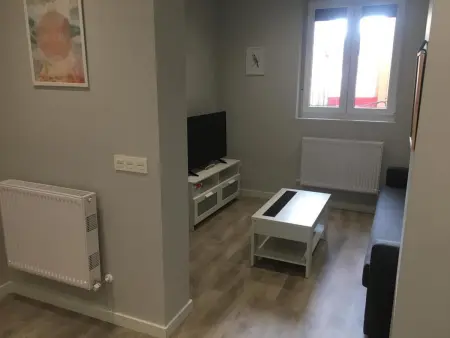 Appartement chaleureux au cœur de León - 35 m² avec confort - Photo 4