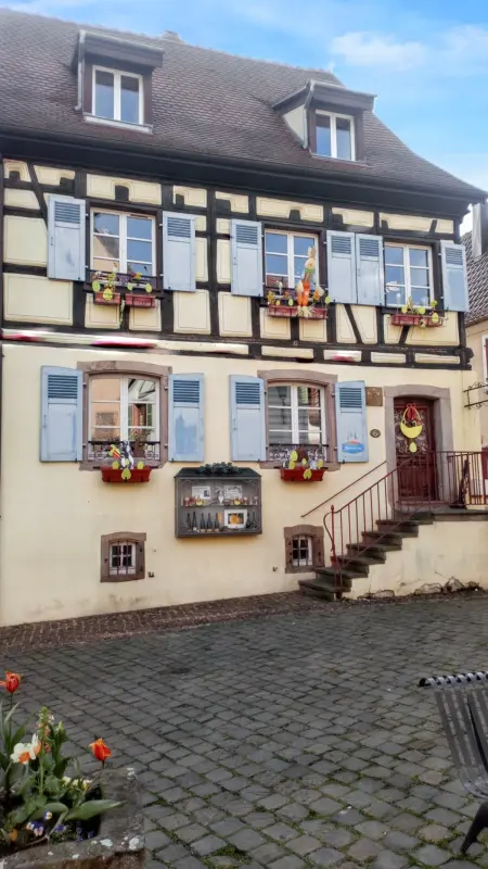 Appartement cosy avec cheminée à Eguisheim - 110m² - Terrasse - Photo 10