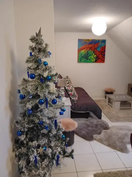 Appartement spacieux à Ingersheim avec vue sur jardin, 100 m² - Photo 17