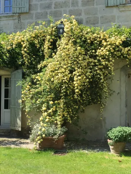 Maison charmante à Marsillargues, Maison 8 personnes à Marsillargues - Photo 27