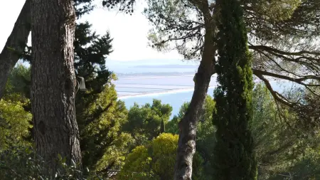 Appartement confortable à Hyères avec piscine privée - Photo 14
