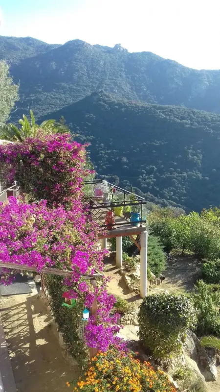 Villa conviviale à Olmeto avec piscine privée, Villa 8 personnes à Olmeto - Photo 8
