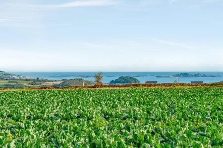 Maison charmante avec vue sur la mer à Paimpol, Maison 4 personnes à Paimpol - Photo 18