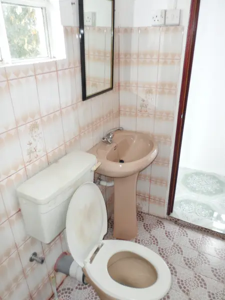 Appartement spacieux à Calodyne avec jardin clos - Photo 10