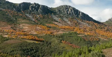Retraite avec vue sur la montagne à Cañamero, Maison 4 personnes à Cañamero - Photo 8