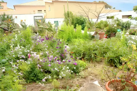 Maison de charme à San Cristóbal de La Laguna avec piscine partagée - Photo 21