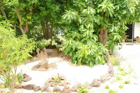 Maison de charme à San Cristóbal de La Laguna avec piscine partagée - Photo 22