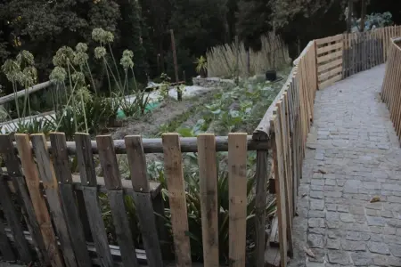 Studio charmant à Marco de Canaveses - 25m² avec piscine - Photo 19