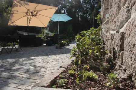 Studio charmant à Marco de Canaveses - 25m² avec piscine - Photo 25