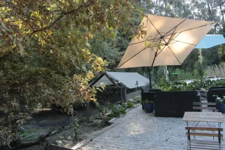 Studio charmant à Marco de Canaveses - 25m² avec piscine - Photo 26