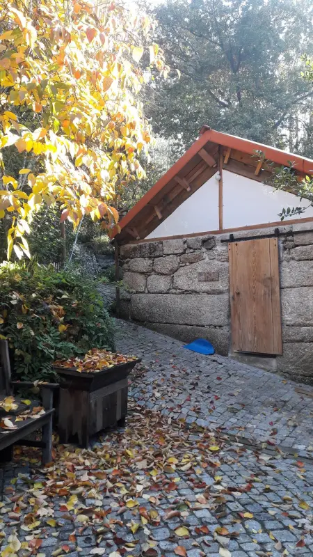 Studio charmant à Marco de Canaveses - 25m² avec piscine - Photo 31