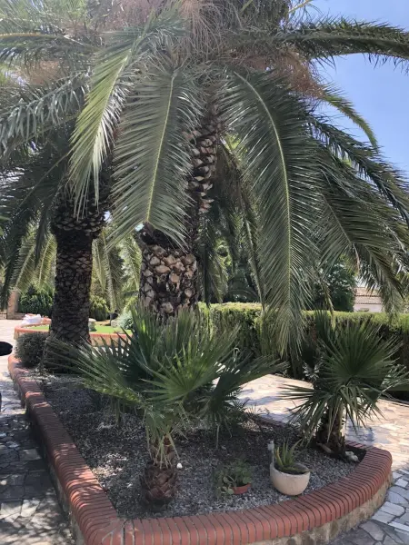 Villa spacieuse à Olocau avec piscine privée et jardin - Photo 21