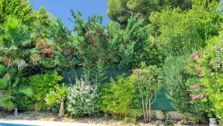 Villa spacieuse à Agde avec piscine et jardin., Villa 8 personnes à Agde - Photo 30