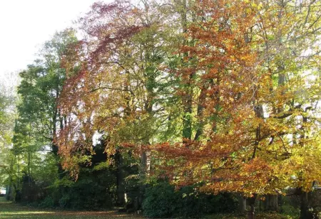 Maison charmante à Ryes avec jardin clos et accès PMR - Photo 13