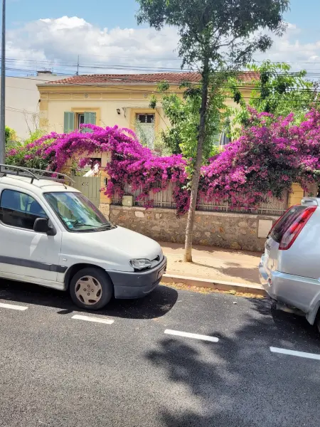 Appartement cosy La Seyne-sur-Mer 55m² avec jardin - Photo 2