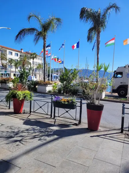 Appartement cosy La Seyne-sur-Mer 55m² avec jardin - Photo 6