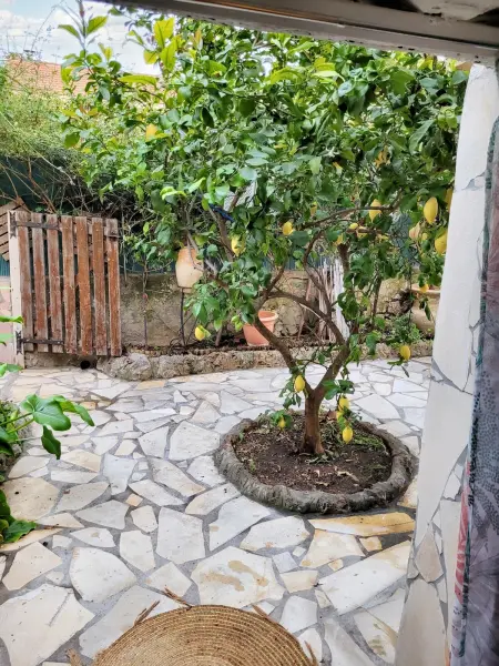 Appartement cosy La Seyne-sur-Mer 55m² avec jardin - Photo 7