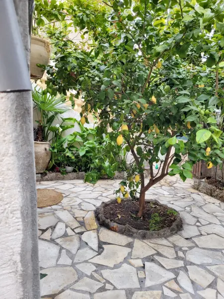 Appartement cosy La Seyne-sur-Mer 55m² avec jardin - Photo 9