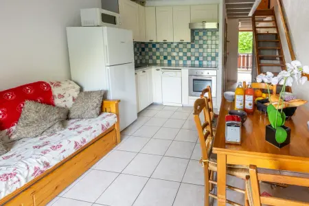 Appartement Douillet Saint-Sorlin-d'Arves 49 m² Vue montagne - Photo 1