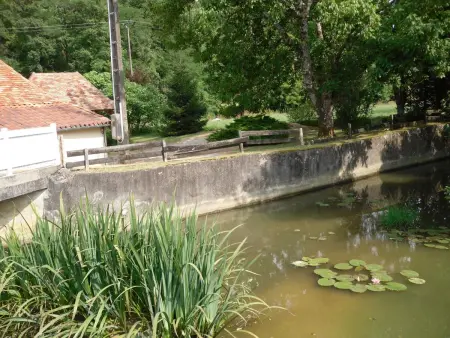 Charmante maison de campagne avec jardin et barbecue - Photo 14