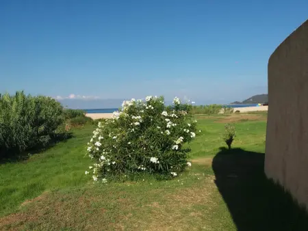 Maison accueillante à Calcatoggio avec jardin clôturé. - Photo 5