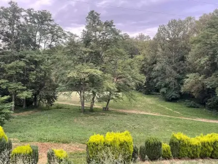 Maison familiale avec terrasse à Vieille-Brioude - Photo 42