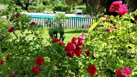 Villa de charme, Sarlat-la-Canéda, jardin, Villa 4 personnes à Sarlat la Canéda - Photo 7