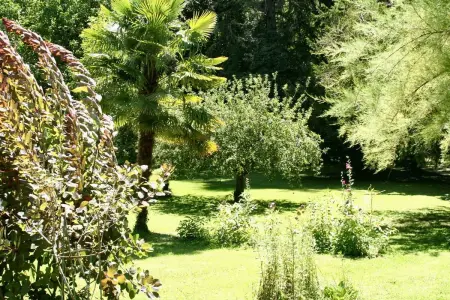 Villa de charme, Sarlat-la-Canéda, jardin, Villa 4 personnes à Sarlat la Canéda - Photo 8