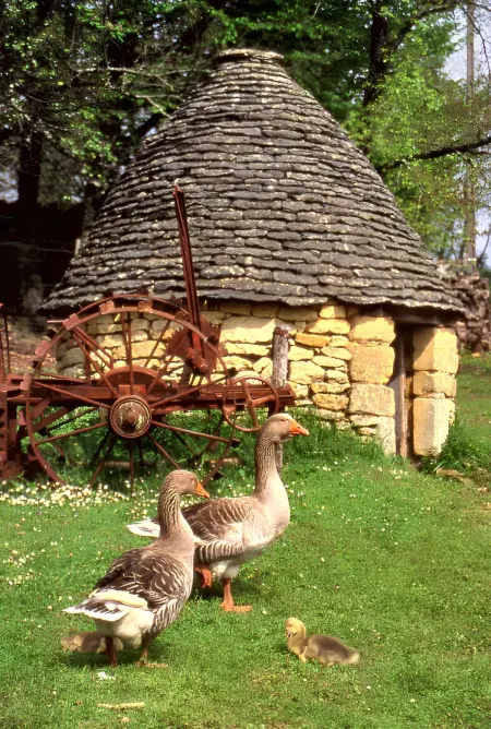 Villa de charme, Sarlat-la-Canéda, jardin, Villa 4 personnes à Sarlat la Canéda - Photo 10