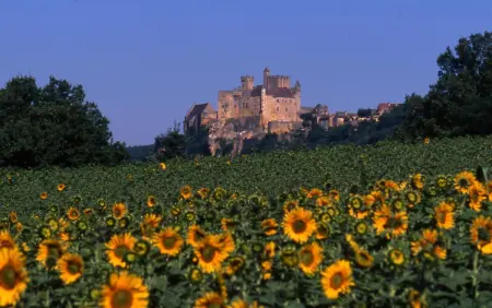 Villa de charme, Sarlat-la-Canéda, jardin, Villa 4 personnes à Sarlat la Canéda - Photo 15