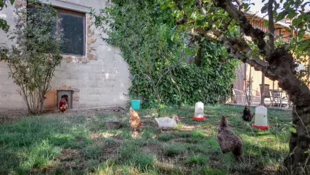 Villa charmante près de Vitigudino avec piscine partagée - Photo 8