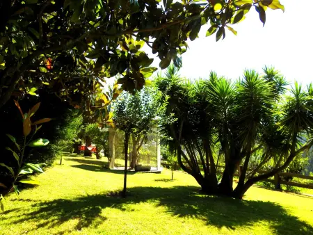 Villa Idéale à Vila Nova de Famalicão avec Piscine Privée - Photo 44