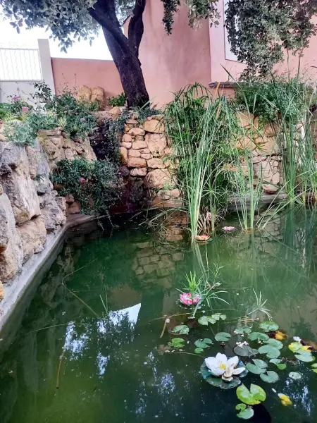 Appartement charmant avec piscine - Salon-de-Provence - 48m² - Photo 6
