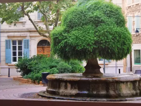 Appartement charmant avec piscine - Salon-de-Provence - 48m² - Photo 21