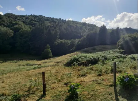 Chalet charmant à Saint-Sylvestre avec Terrasse et Jardin - Photo 16