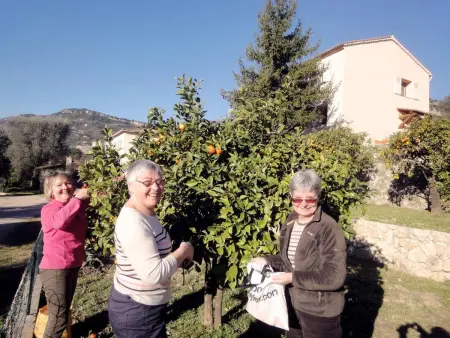 Appartement confortable au Bar-sur-Loup 40 m² avec jardin privatif - Photo 14