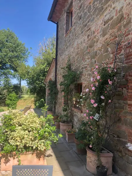 Maison charmante à Monte San Savino, piscine privée - Photo 42