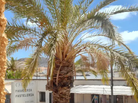 Maison ensoleillée près de la mer à Puerto de Mazarrón - Photo 16